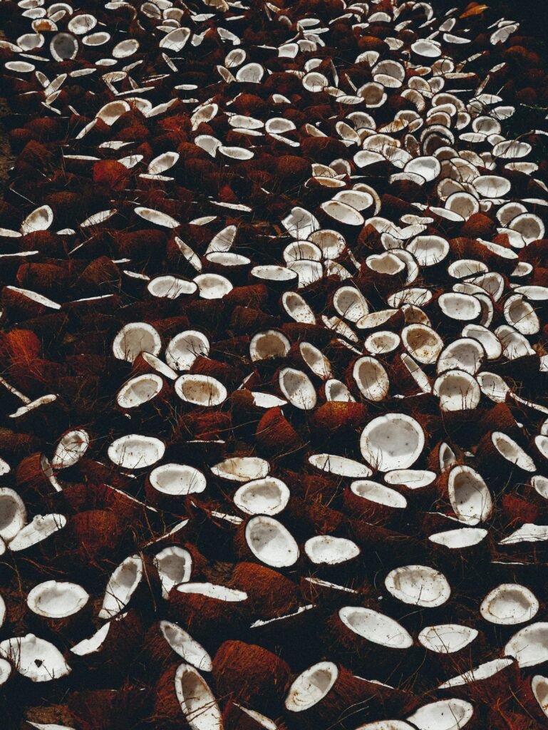 A rich display of halved coconuts spread out, highlighting their natural texture and color.